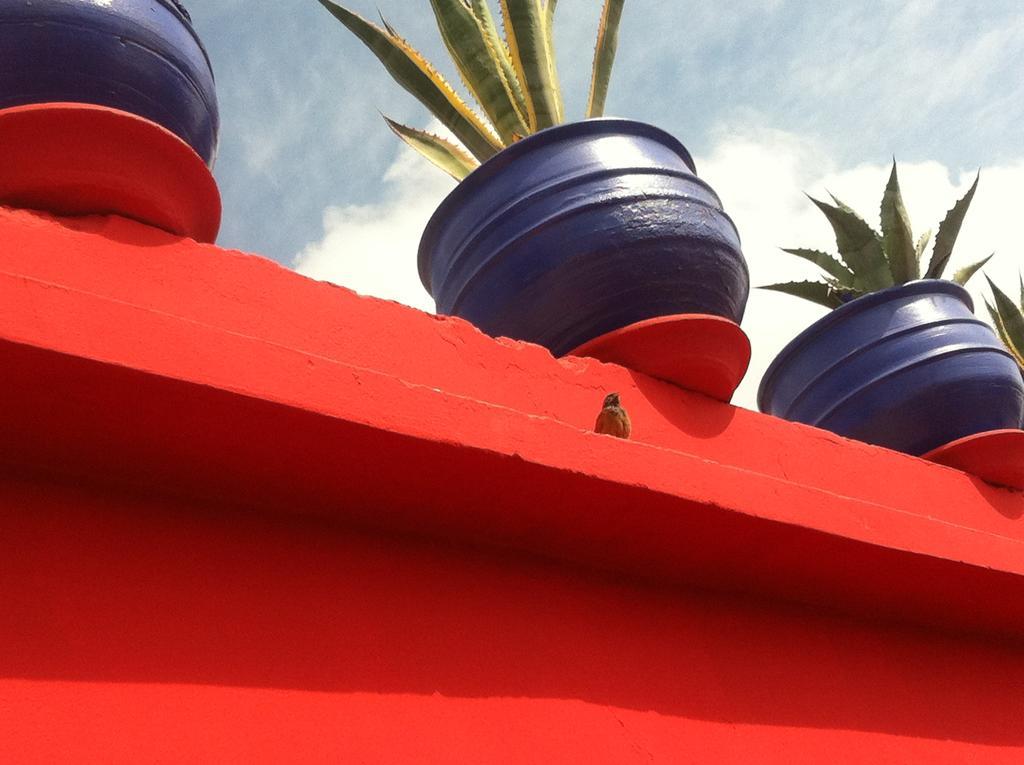 Riad Kalinka Lotus Marrakesh Exterior photo
