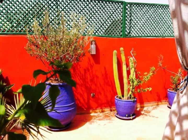 Riad Kalinka Lotus Marrakesh Exterior photo